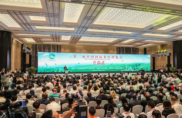 茶博會精彩現(xiàn)場